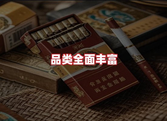 专业团队